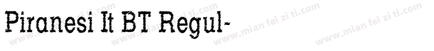 Piranesi It BT Regul字体转换